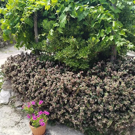 Apartament Nevija Valun