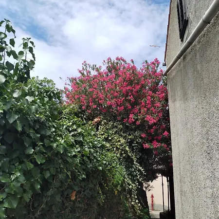 Appartamento Nevija