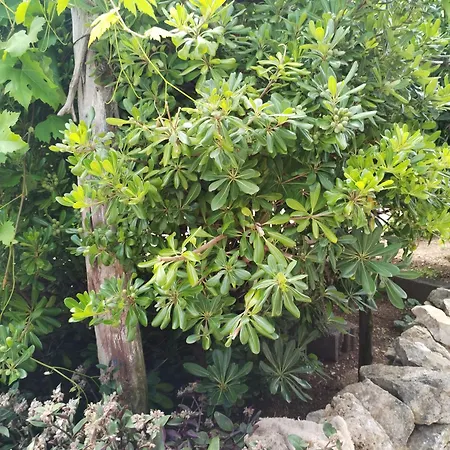 Nevija Appartamento Valun