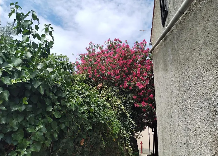Apartman Nevija